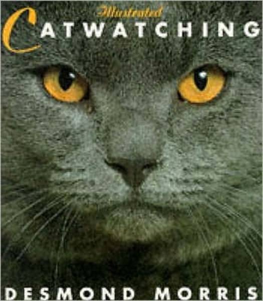 Illustrated Catwatching