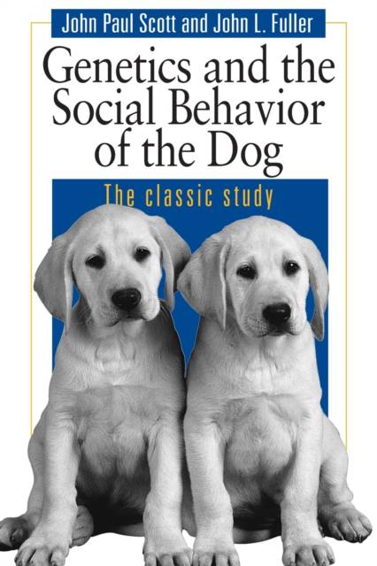 Dog Behaviour