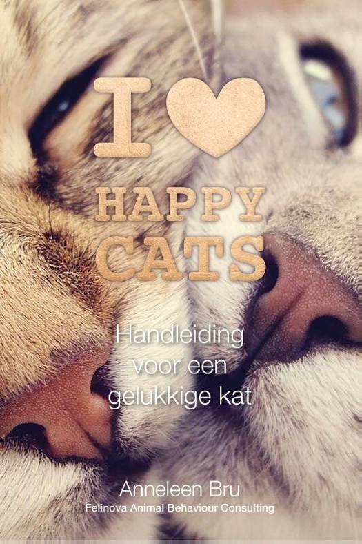 I love happy cats