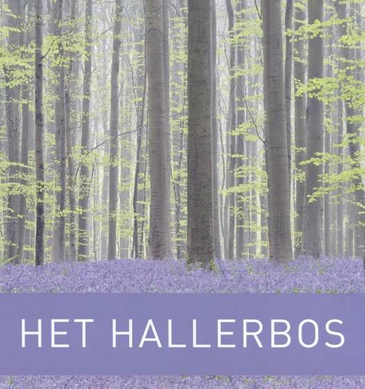 Het Hallerbos