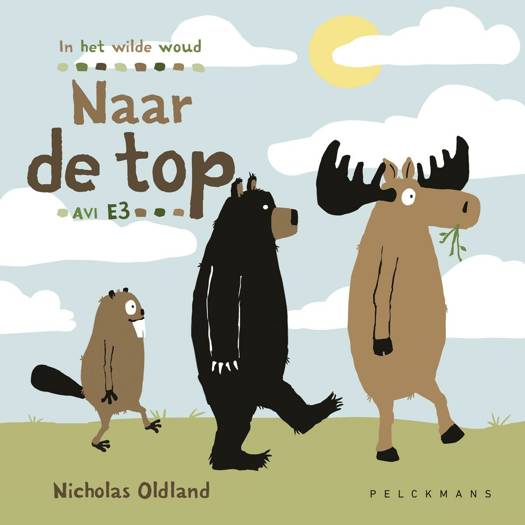 Naar de top